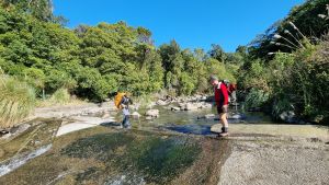 Image of kaimaisaug22b.jpg