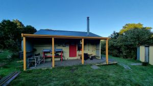 Image of kaimaisaug22c.jpg