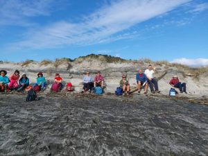 Image of kaimaisbeeoct22e.jpg