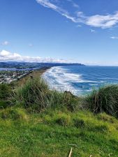 Image of kaimaisbeeoct22f.jpg