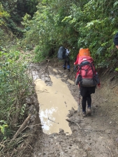 Image of kaimaisep15b.jpg