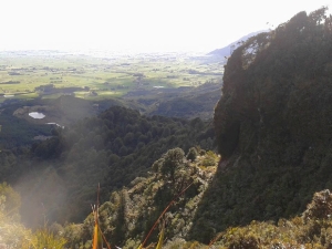 Image of kaimaisep15g.jpg