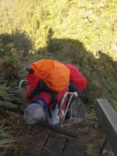 Image of kaimaisep15i.jpg