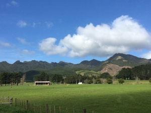 Image of kaimaisep15k.jpg