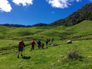 Image of kaimaisep1605.jpg