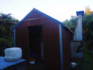 Image of kaimaisep1621.jpg