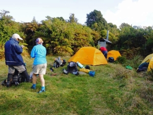 Image of kaimaisep1637.jpg