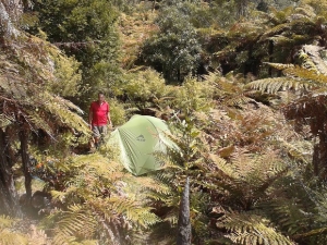 Image of kaimaislab15f.jpg