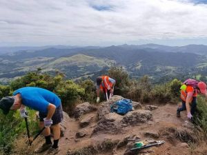 Image of kaimaismar22d.jpg