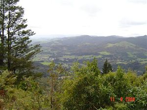 Image of kaimaissept04frommtkarangahake.jpg