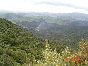 Image of kaimaissept04morefrommtkarangahake.jpg