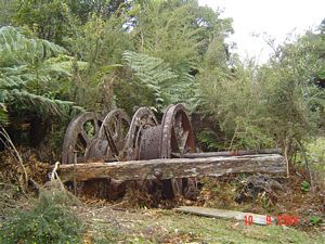 Image of kaimaissept04tearoha7.jpg