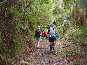 Image of kaimaissept04tearohatramtrack.jpg