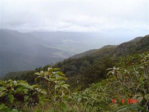 Image of kaimaissept04viewsfromtearoha.jpg