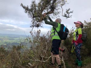 Image of kaimaisworkoct23f.jpg