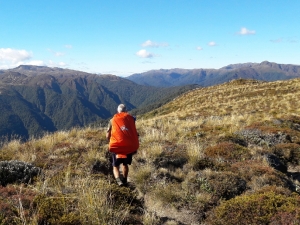 Image of kaimanawaapr19b.jpg