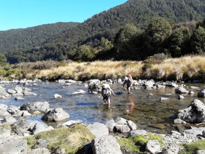 Image of kaimanawaapr19f.jpg