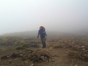 Image of kaimanawaapr19j.jpg