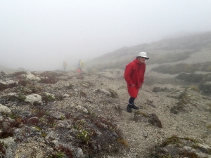 Image of kaimanawaapr19k.jpg