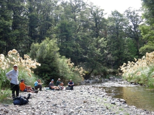 Image of kaimanawafeb16f.jpg