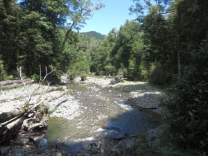 Image of kaimanawafeb16k.jpg