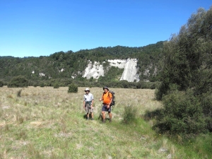 Image of kaimanawafeb16n.jpg