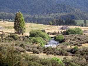 Image of kaimanawafeb16r.jpg