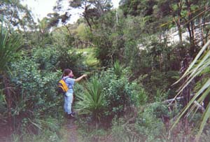 Image of kaipatikiq.jpg