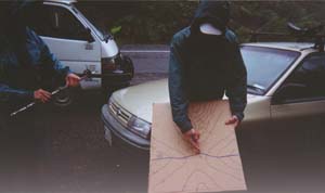 Image of kaitarakihistartq.jpg