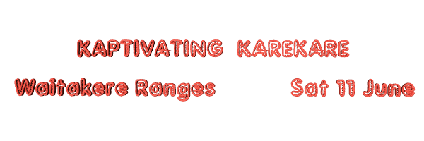 Image of kaptivatingkarekare.gif