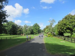 Image of karakadec23h.jpg