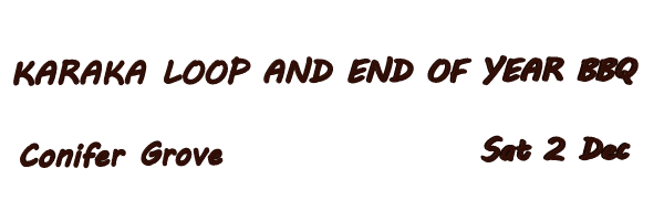 Image of karakaendofyeardeg23.gif