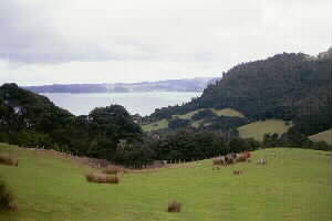 Image of karamaturamanukauview2q.jpg