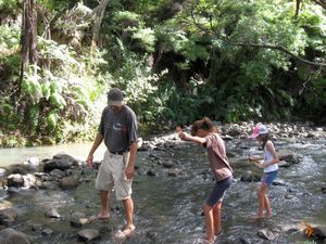 Image of karamaturamar09dcstream.jpg