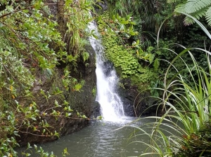 Image of karamaturamay21b.jpg