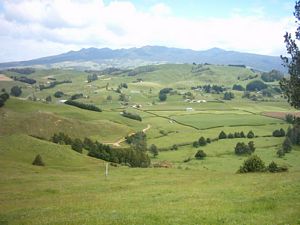 Image of karamu04afterbushview.jpg