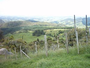 Image of karamu04afterlunchview.jpg