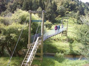 Image of karamu04swingbridge.jpg