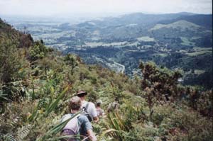 Image of karangahake02descentq.jpg