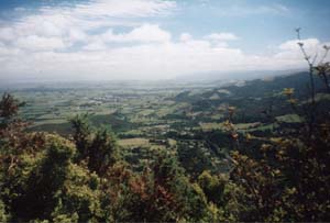 Image of karangahake02lookoutthamesq.jpg