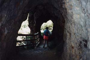 Image of karangahake02lowertunnel2q.jpg