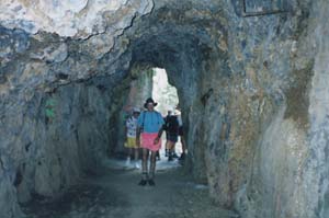 Image of karangahake02lowertunnelq.jpg
