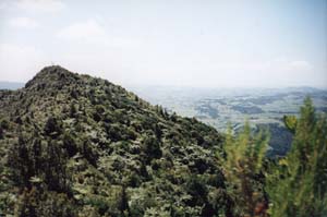 Image of karangahake02summitq.jpg
