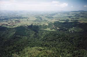 Image of karangahake02summitviewq.jpg