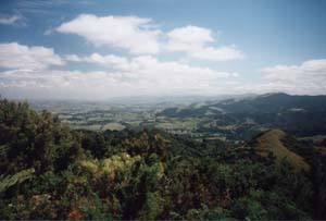 Image of karangahake02summitwestq.jpg
