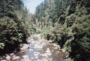 Image of karangahake02waitawhetagorgeq.jpg