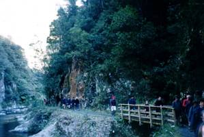 Image of karangahake03crowntrack.jpg