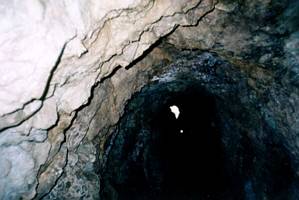 Image of karangahake03crowntracktunnel.jpg