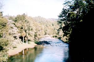 Image of karangahake03dickeysflat.jpg
