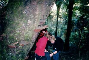 Image of karangahake03dubbo96track.jpg